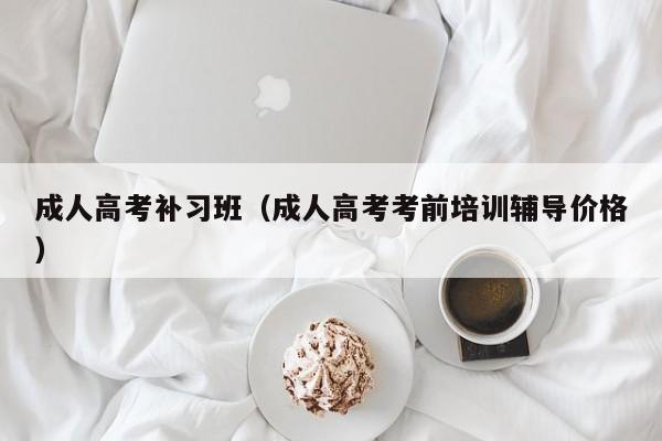 成人高考补习班（成人高考考前培训辅导价格）