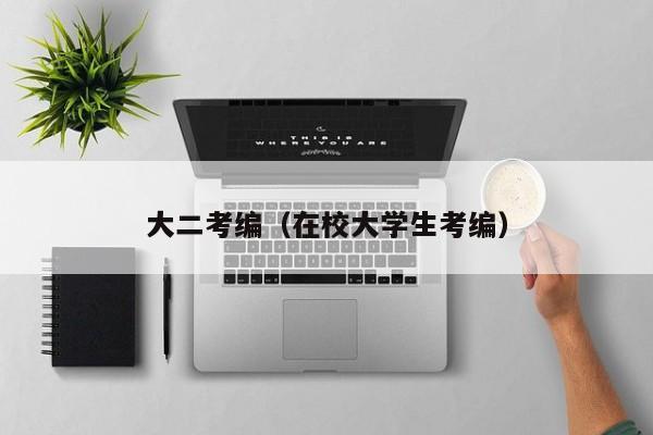 大二考编（在校大学生考编）