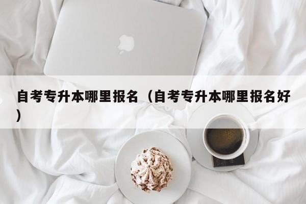 自考专升本哪里报名（自考专升本哪里报名好）