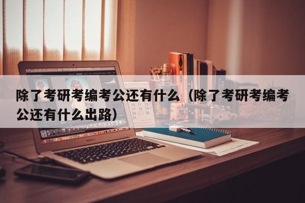 除了考研考编考公还有什么（除了考研考编考公还有什么出路）