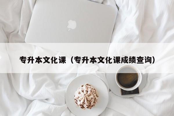 专升本文化课（专升本文化课成绩查询）