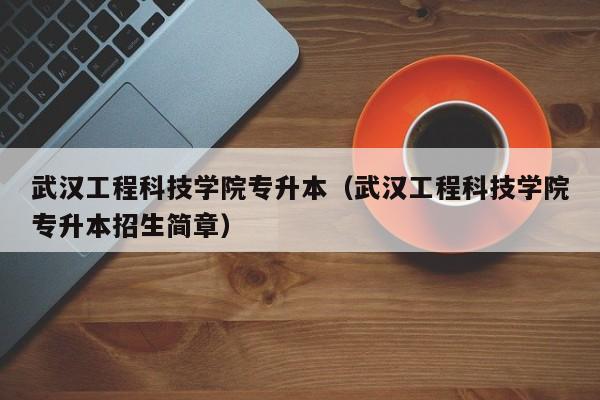 武汉工程科技学院专升本（武汉工程科技学院专升本招生简章）